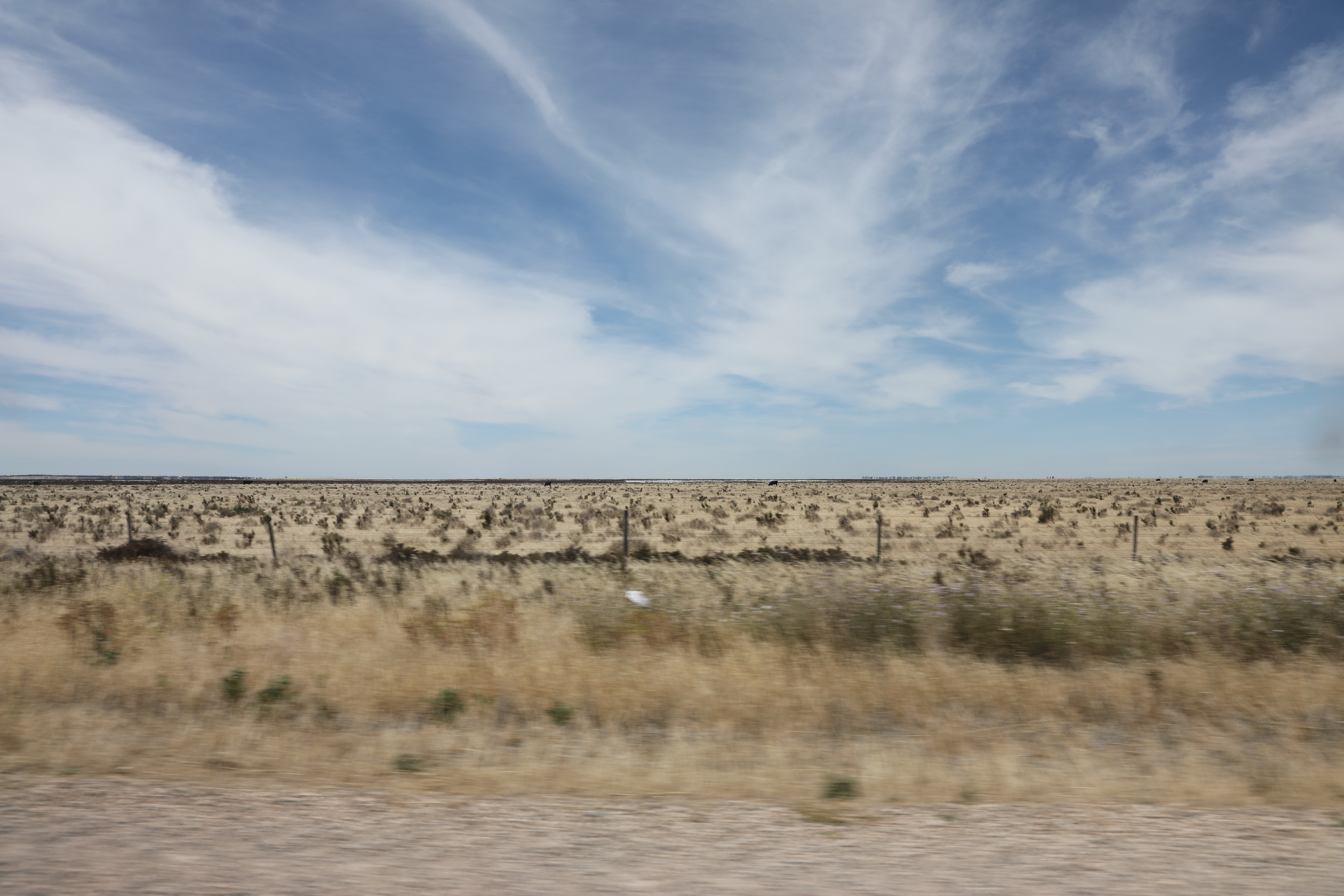 2019 12 15 13 35 25 Canon EOS 5D Mark IV 0024